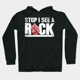 Stop I see a rock geologist Hoodie